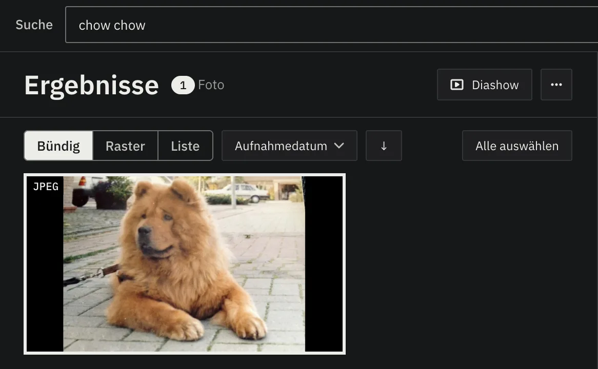 Unterlumen auf Deutsch: die Suche nach chow chow und das eine Ergebnis, ein Chow-Chow, der auf einem Gehweg liegt