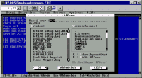 the editor