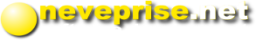 neveprise.net logo